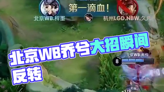 优化球员配 优化球员配