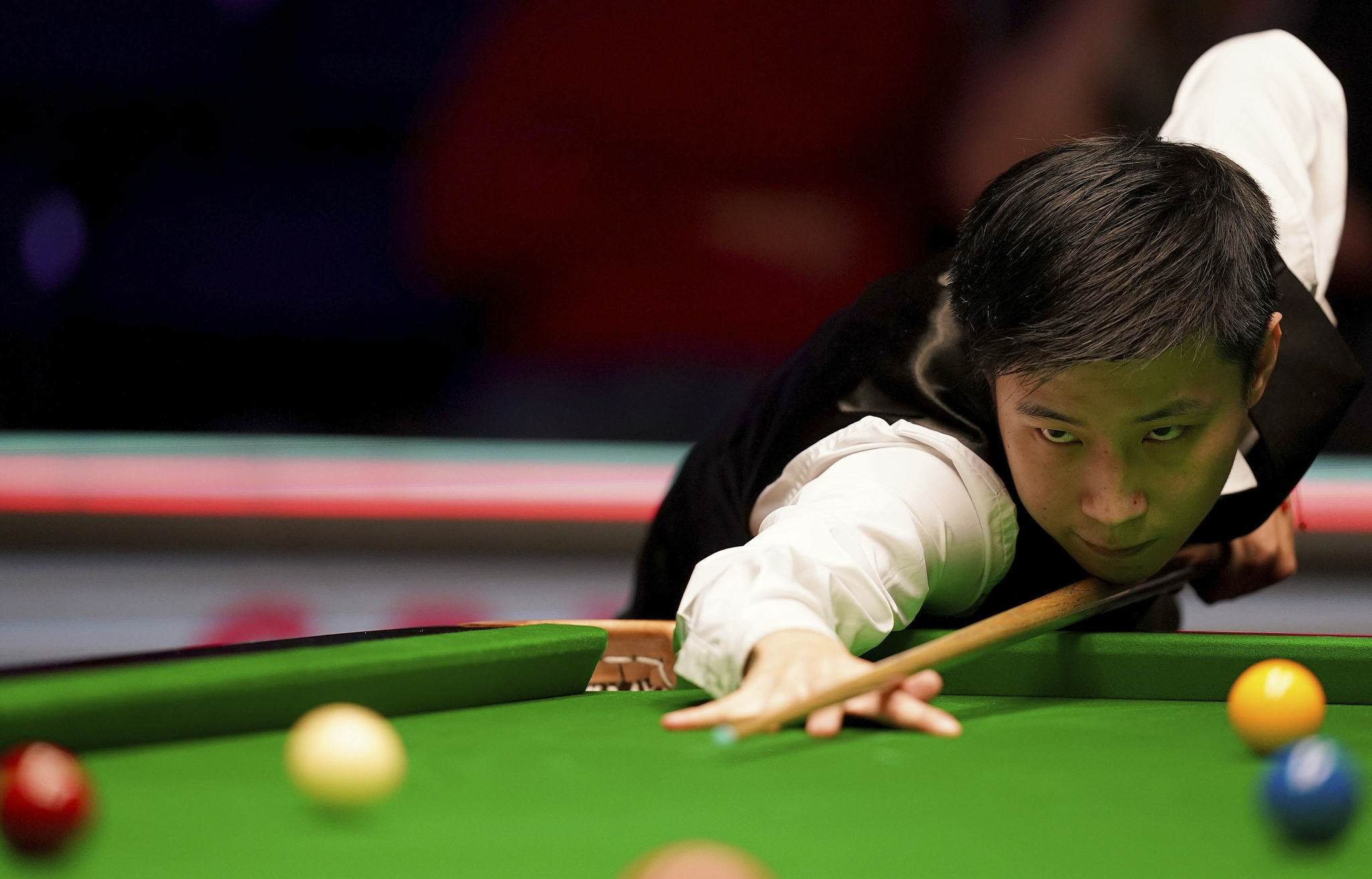 对乐天金鹫 对乐天金鹫